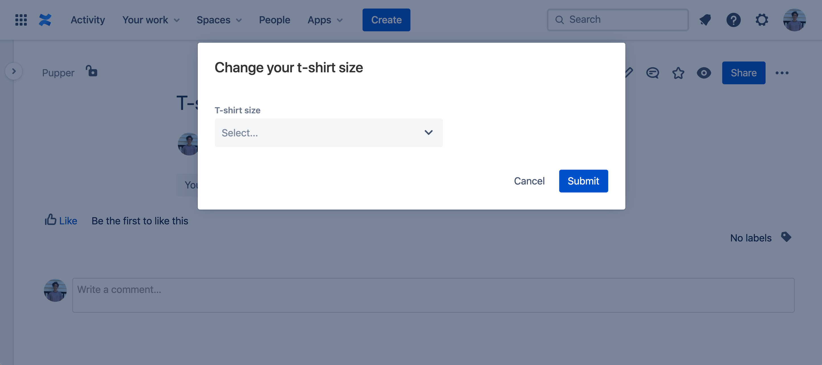 Screenshot of modal dialog